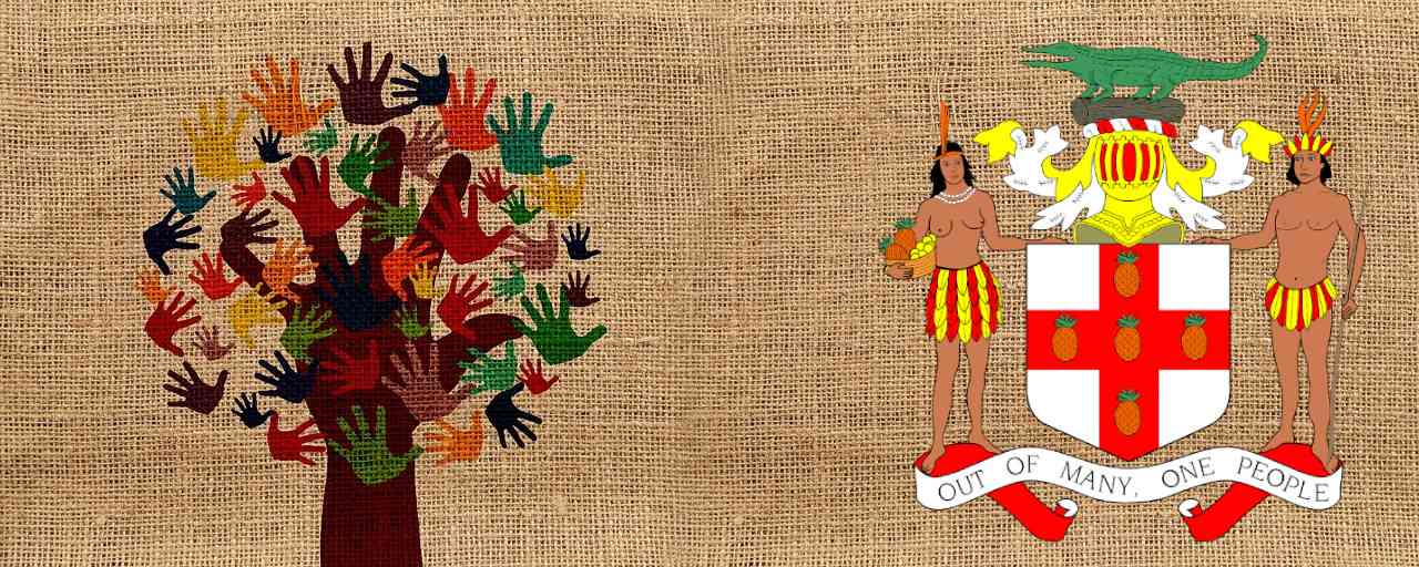 Joy and Immigrants
