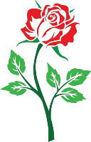 rose ma